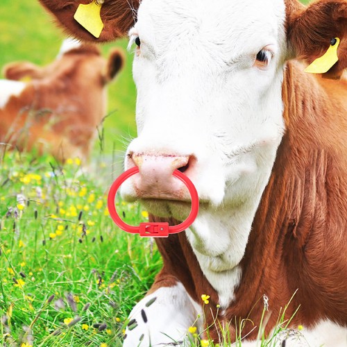 Pcs farmhouse nose ring - pcs,