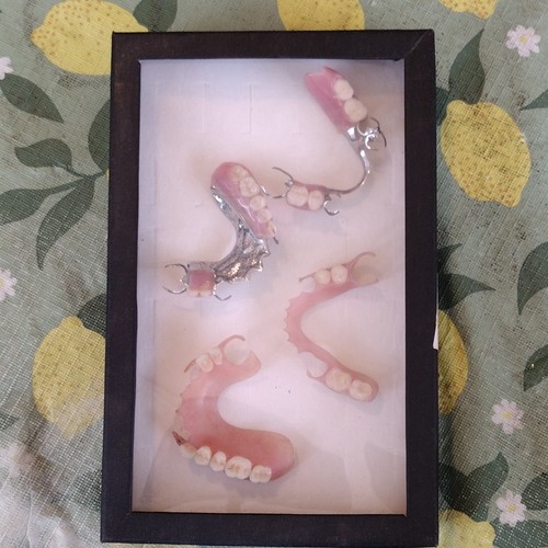 Vintage dental removable - dental,