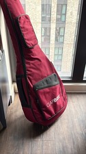 Acoustic Guitar for Beginners