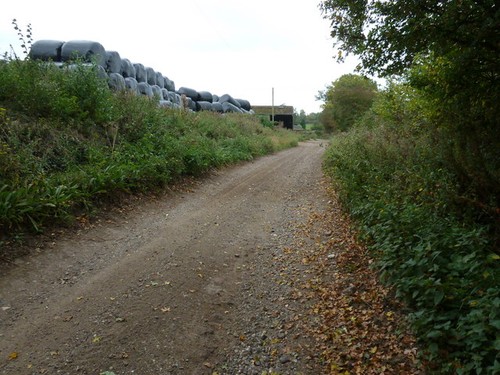 Photo silage bales - silage, at