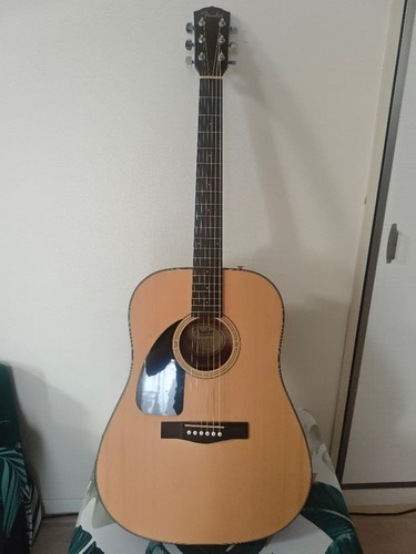 Fender 100 nat - fender, ds