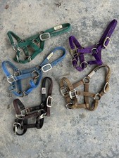 Lot of 5 USED Miniature Horse or Small Pony Halters