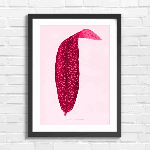 Botanical vintage leaf art - botanical,