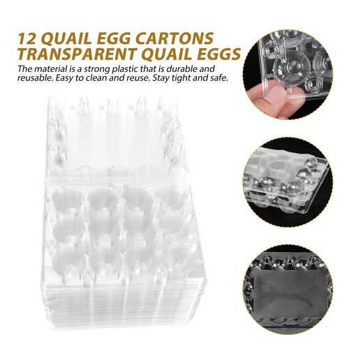 100 plastic clear pet quail - clear,