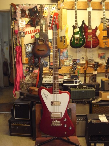 Gibson thunderbird non reverse - thunderbird, non-reverse