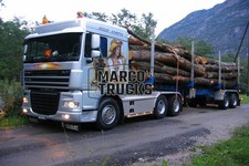 Truck Photo DAF XF Wood Transport Trailer Switzerland Silver Jolly Jumper #i4qv