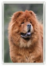 CHOW CHOW DOG HEAD ART NOVELTY FRIDGE MAGNET GREAT GIFT
