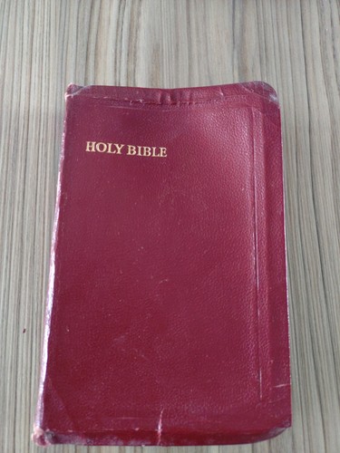 Holy bible ilustrated new - ilustrated, and
