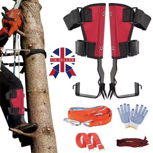 Gears safety tree climbing - tree,