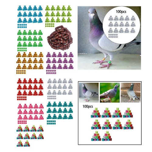 100 pieces racing - pieces, foot