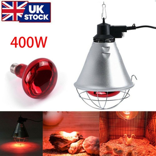 400w bulb infrared heat - infrared,