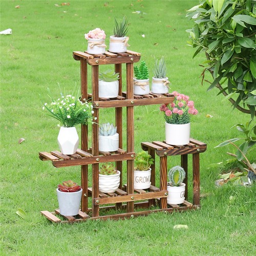 Thicken wood plant flower - thicken,