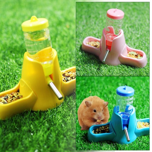 Hamster water bottle - hamster,