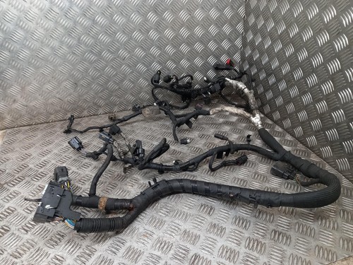 Ford transit custom engine - ford,