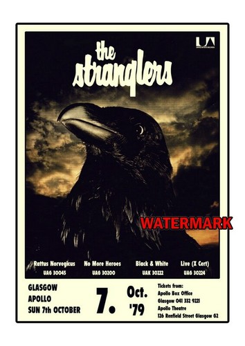 The stranglers gig - stranglers,