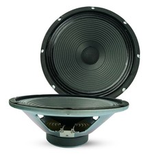5 Core 10 Inch Guitar Speaker