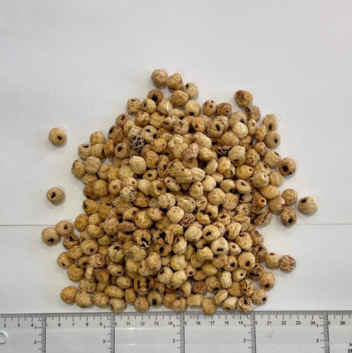 Skinned tiger nuts for fishing - skinned,