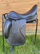 New Amerigo 17.5” Pasubio