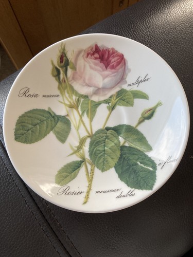 Roy kirkham redoute rose - roy,