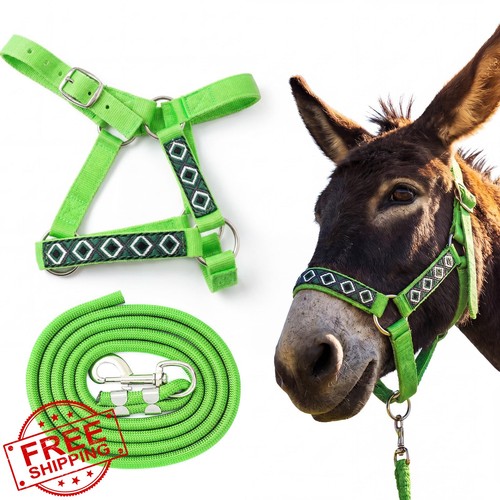 Miniature donkey halter set - halter,
