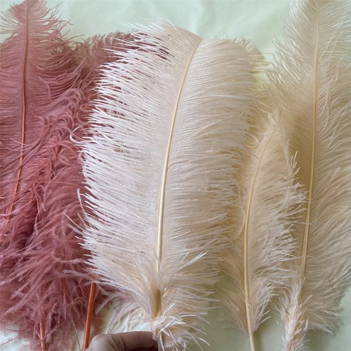 60cm long quality - long, ostrich