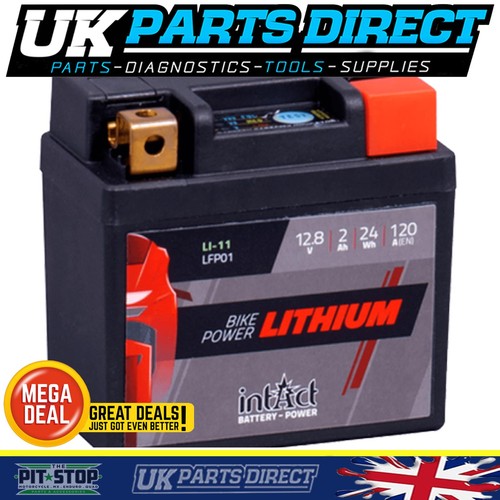 Intact lithium battery - intact,