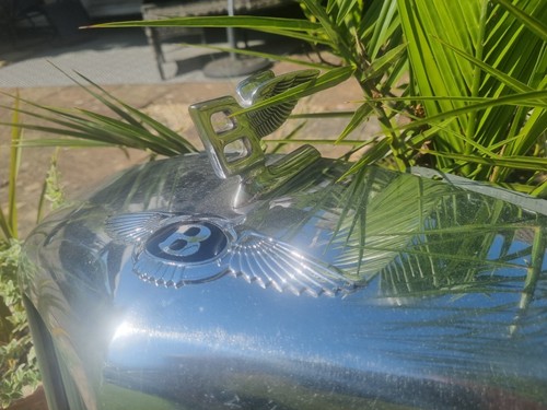 Bentley grill badge and mascot - badge,