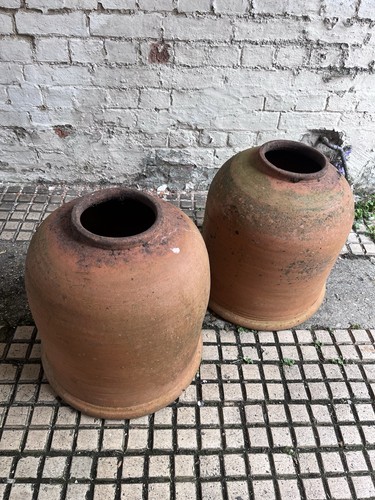 Rare pair large - pair, garden
