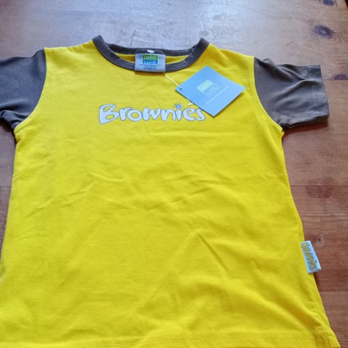 Official girlguiding brownies - official,