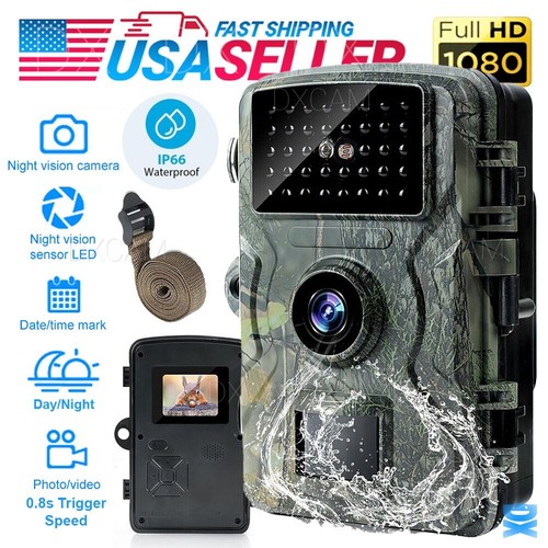 Wildlife hunting trail - hunting,