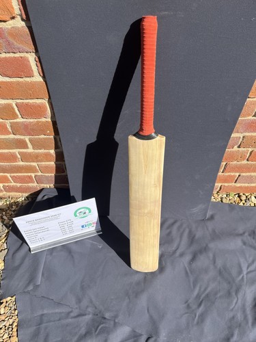 Gray nicolls ultimate 500 - gray,