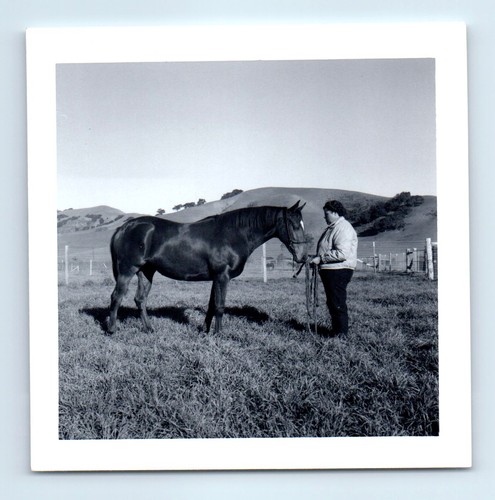 Old vintage square - square, solo