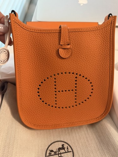 Hermès evelyne amazone - evelyne, 16