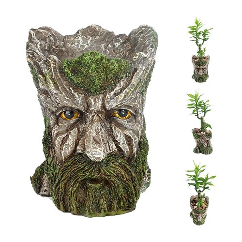 Indoor plant planter old - indoor,