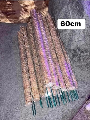 60cm sphagnum moss pole - moss,