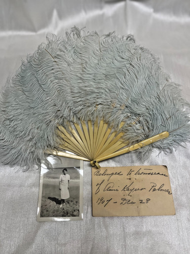 Antique 1907 ostrich feather - antique,