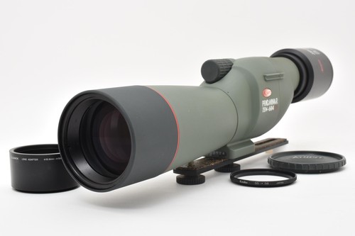 Near mint kowa - [near, mint]