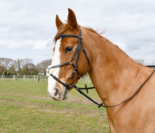 Windsor mexican bridle - windsor,