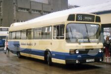 Bus Photo - Midland Bluebird