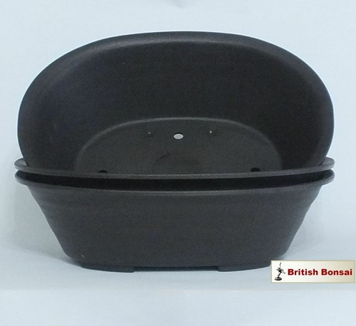 Extra strong oval - 3, x