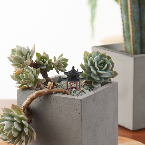 Micro landscape ornaments - micro,