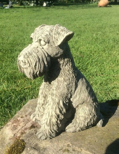 Stone garden schnauzer - stone, dog