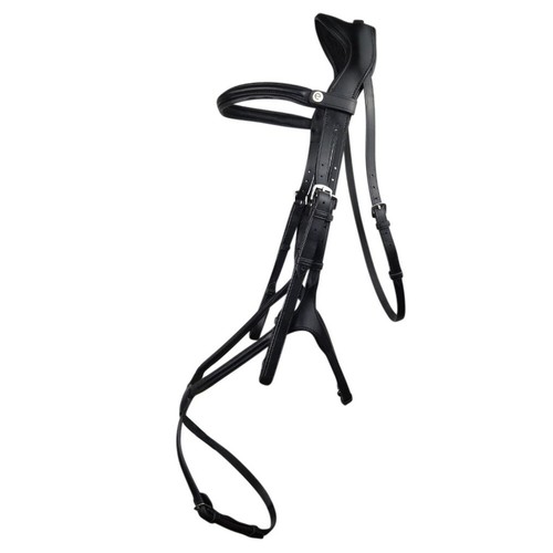 Ecorider freedom grackle - freedom,