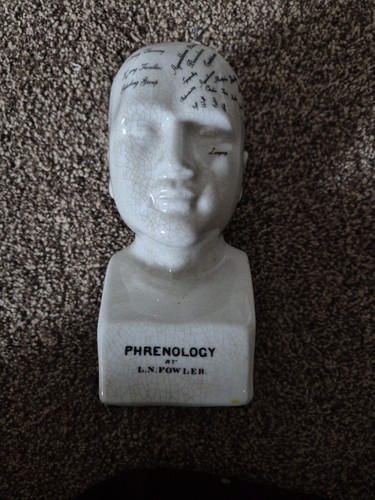 Ceramic phrenology head bust - bust,