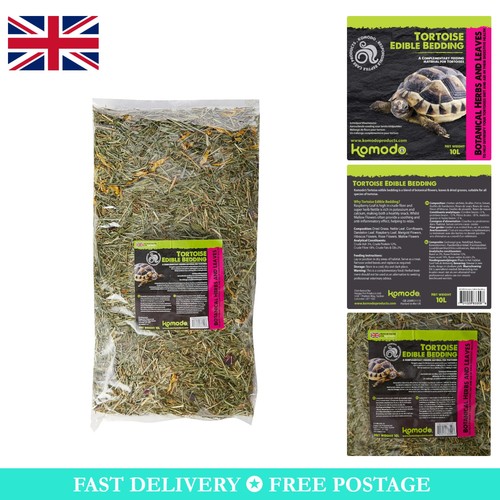 Happy pet tortoise edible - tortoise,