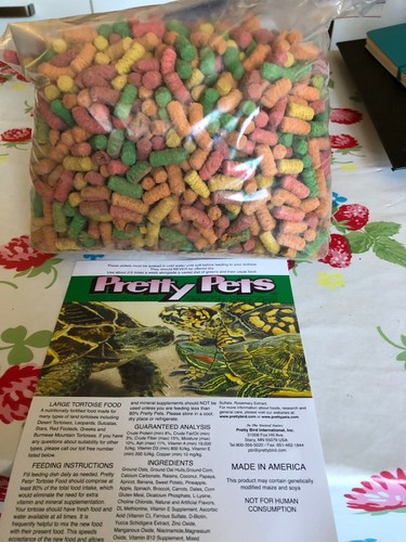 Food treats pretty pets - food, /treats