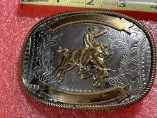 Professional Bull Rider Pro