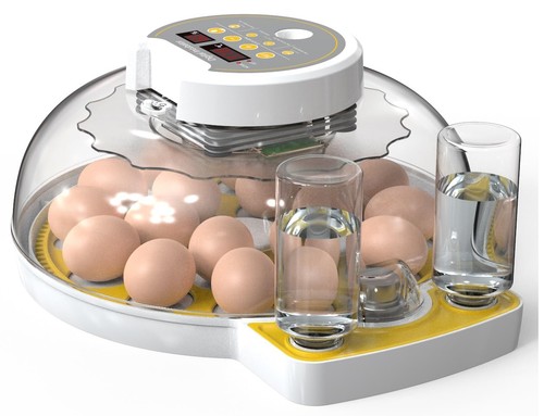 Egg incubator automatic - egg,