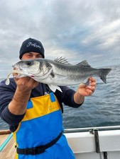 NEW Sidewinder Skerries Pro