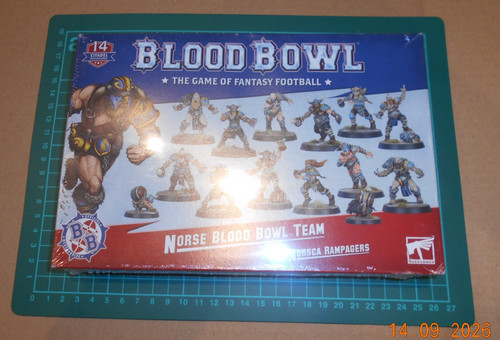 Norse blood bowl - blood, team: